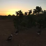 Сasa de vacaciones Solar Da Cotovia
