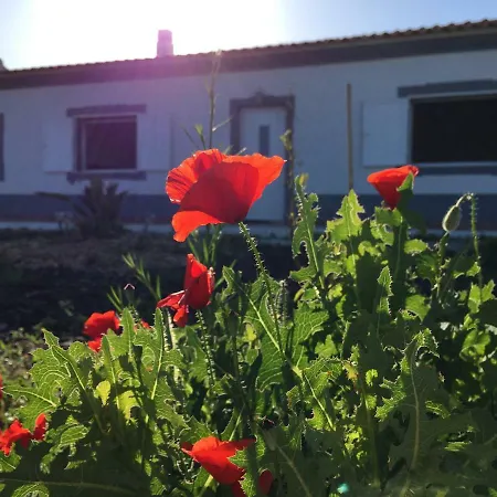 بيت للعطل Solar Da Cotovia *