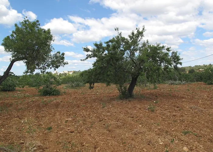 Solar Da Cotovia Albufeira