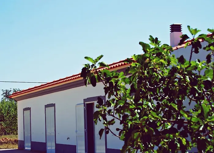 Solar Da Cotovia Сasa de vacaciones *