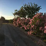 度假居 Solar Da Cotovia *