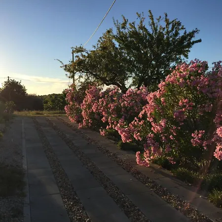 Hébergement de vacances Solar Da Cotovia *