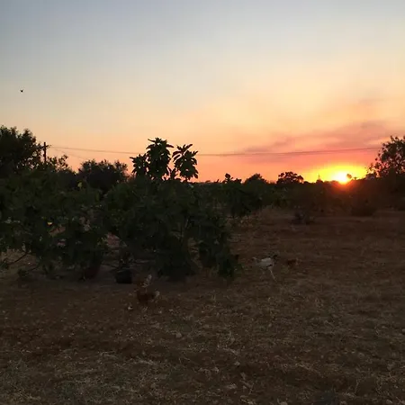 Hébergement de vacances Solar Da Cotovia Albufeira
