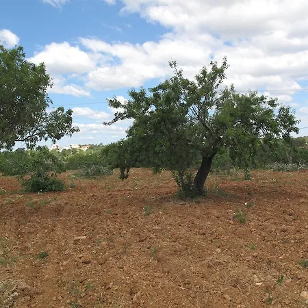 Solar Da Cotovia البوفيرا