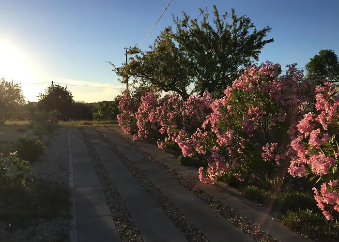 Будинок відпочинку Solar Da Cotovia *