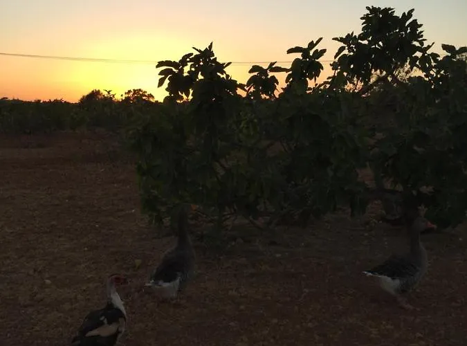 Будинок відпочинку Solar Da Cotovia