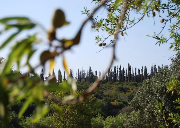 Solar Da Cotovia Будинок відпочинку Албуфейра