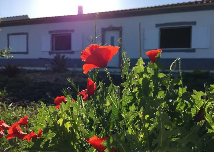 Casa de Férias Solar Da Cotovia *