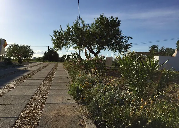 Solar Da Cotovia Casa de Férias