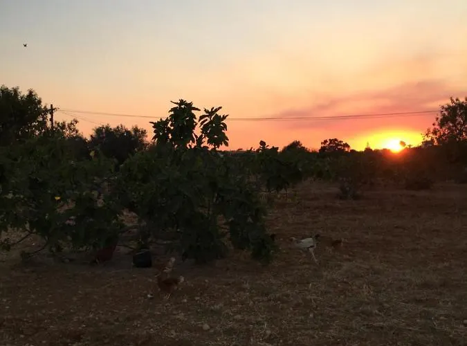 別荘 Solar Da Cotovia アルブフェイラ