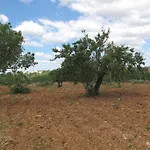 Solar Da Cotovia Albufeira